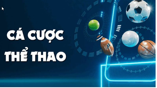 Giới thiệu sảnh chơi thể thao Nohu
