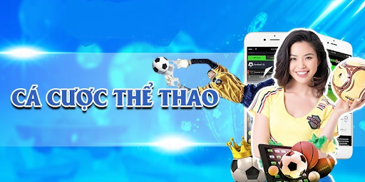 Những ưu điểm của sảnh thể thao Nohu